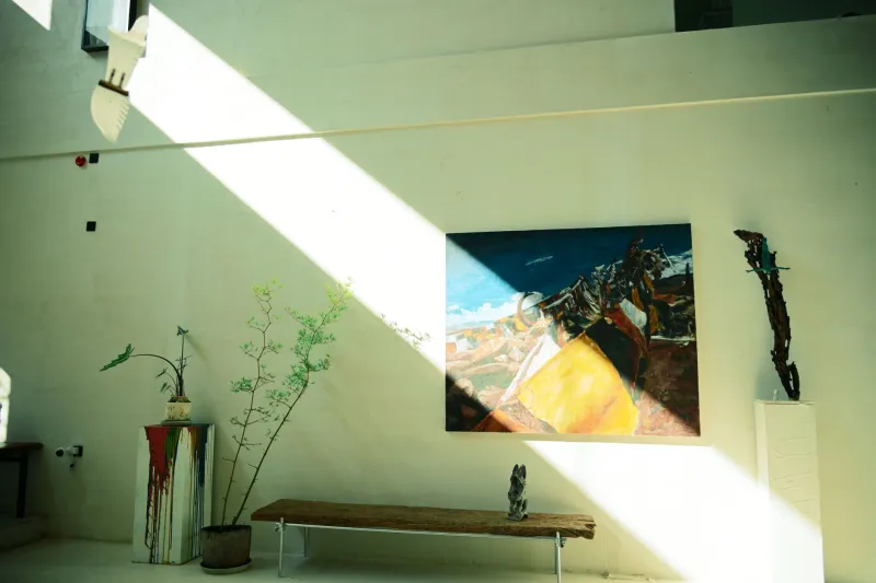 More Art Than Wall: The Collector's Guide to Managing a Collection That Has Outgrown Its Home