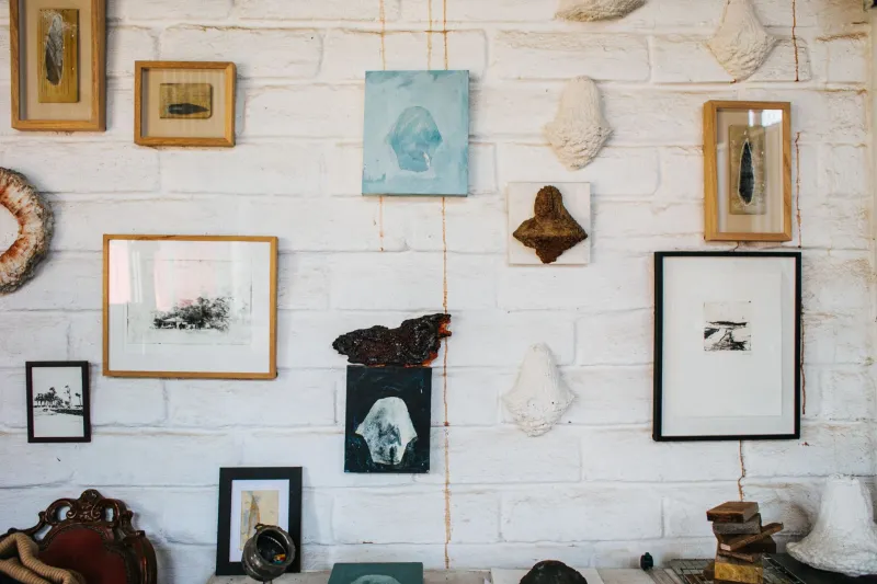 Walls That Speak: The Collector's Guide to Gallery Arrangements That Command Attention